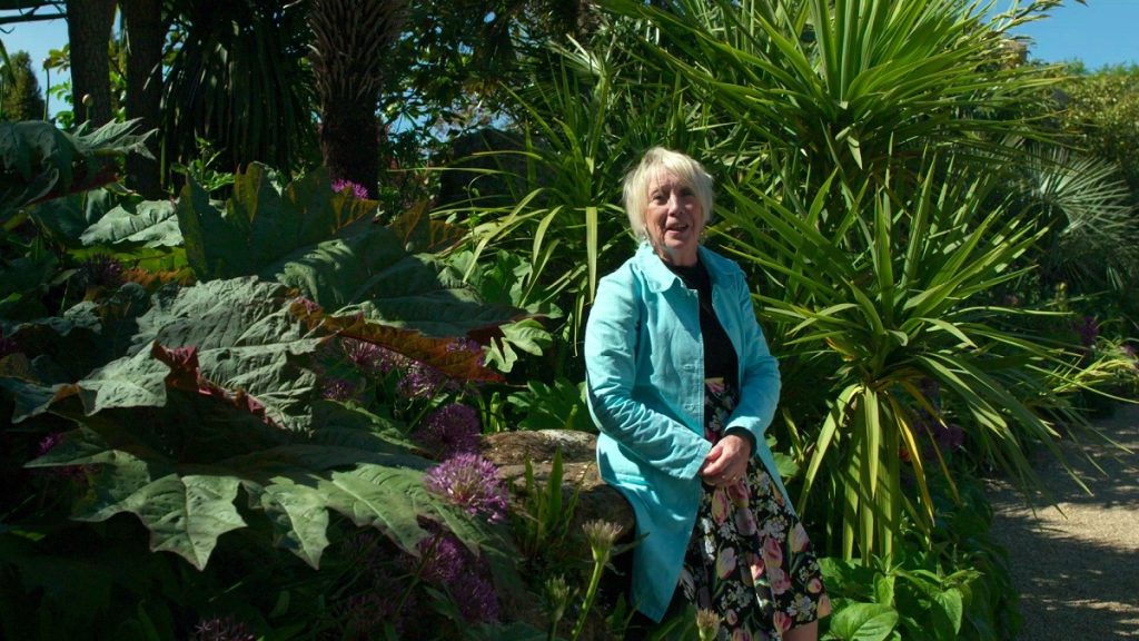 Carol Klein turned to gardening after a career as an art teacher.