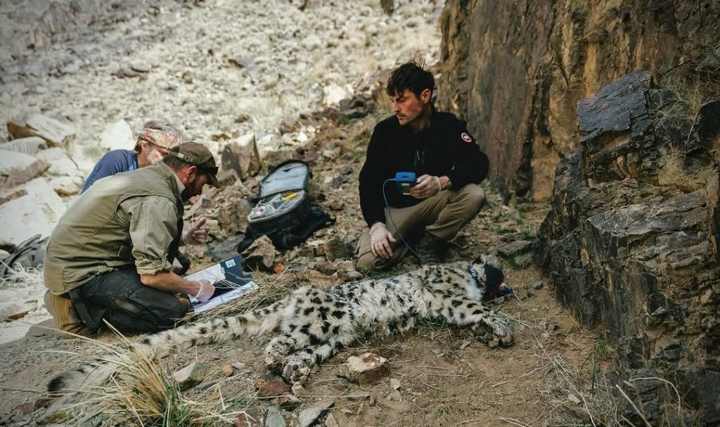 Dan O'Neill is one of the first openly gay wildlife TV presenters.