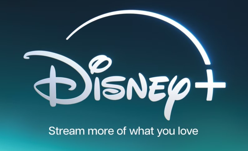 A Disney+ gift card covers monthly or partial annual plans.