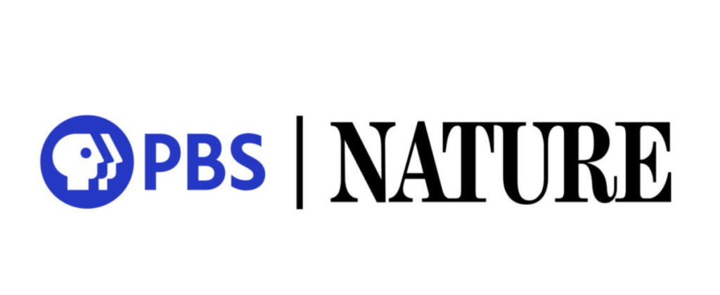 Watch PBS Nature on Roku