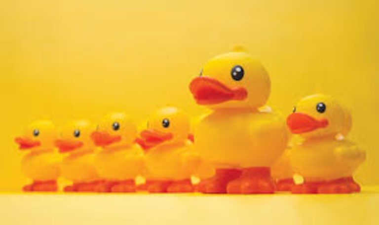 B.Duck TV launches in the USA