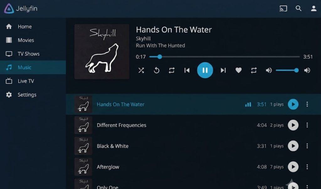 Jellyfin's clean open-source interface - Image: Jellyfin